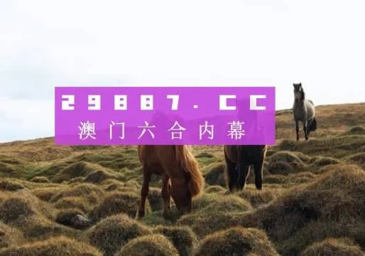 2023澳门开奖结果全部|深度研究解释落实_创意版.4.728